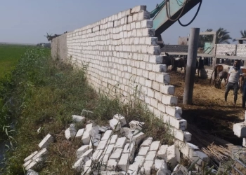 إزالة عدد 6 حالات بناء بالمخالفة على أرض زراعية جنوب بورسعيد 35 - جريدة المساء