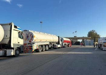 الهلال الأحمر يقدم الدعم والزاد 137 لأهل غزة