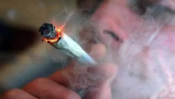 «سوا سوا» و«الكينج» الأعلى في مشاهد التدخين و«هي كيميا» الأكثر في مشاهد التعاطي 18 - جريدة المساء تعاطى المخدرات