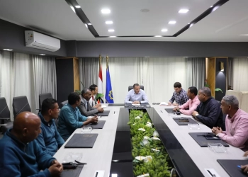 عمرو لاشين : إجراءات سريعة لتحويل أسوان لوجهة سياحية عالمية .. 32 - جريدة المساء