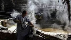 عيد قنا القومي فرصة لإحياء الهوية.. جريو يقترح مهرجانًا للتحطيب والمرماح وتسجيل العسل الأسود والجلابية ضمن التراث العالمي 32 - جريدة المساء عيد قنا القومي فرصة لإحياء الهوية.. جريو يقترح مهرجانًا للتحطيب والمرماح وتسجيل العسل الأسود والجلابية ضمن التراث العالمي 31 - جريدة المساء