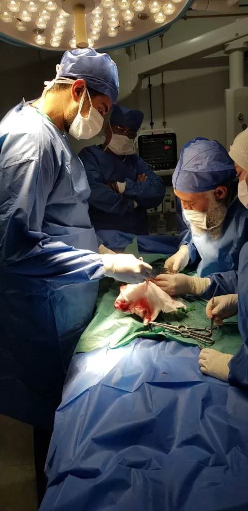 طفرة صحية بـ "زاوية الناعورة".. تُعيد الأمل لأطفال المنوفية 45 - جريدة المساء