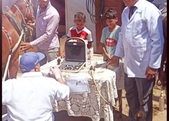 تشخيص وعلاج 3845 رأس ماشية ..ضمن خطة تنمية الثروة الحيوانية بكفرالشيخ 28 - جريدة المساء تشخيص وعلاج 3845 رأس ماشية ..ضمن خطة تنمية الثروة الحيوانية بكفرالشيخ 27 - جريدة المساء
