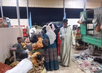 تسكين الباعة الجائلين بالسوق الأسبوعى بقرية الكلح شرق فى السويقة المخصصة لهم بمركز إدفو 21 - جريدة المساء تسكين الباعة الجائلين بالسوق الأسبوعى بقرية الكلح شرق فى السويقة المخصصة لهم بمركز إدفو 20 - جريدة المساء