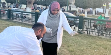 تحصين 300 كلب ضمن الحملة القومية لمكافحة السعار بالمنيا خلال شهرين 1 - جريدة المساء