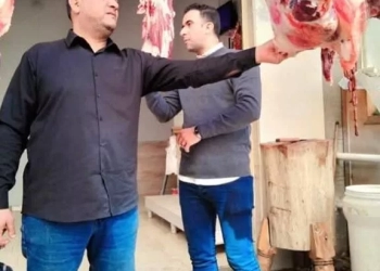 "الزراعة" تضبط ٣٠٠ طن من اللحوم ومنتجاتها غير المطابقة للاشتراطات الصحية خلال فبراير 25 - جريدة المساء