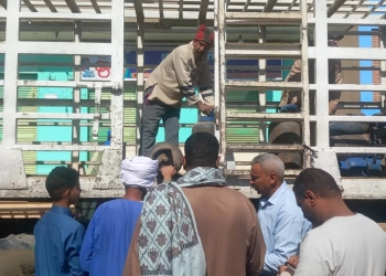 تموين قنا: ضخ 30 ألف أسطوانة بوتاجاز.. وكميات كافية بالمستودعات 19 - جريدة المساء
