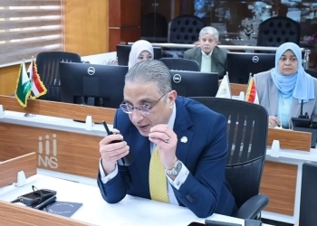 د. أحمد الأنصاري محافظ الجيزة