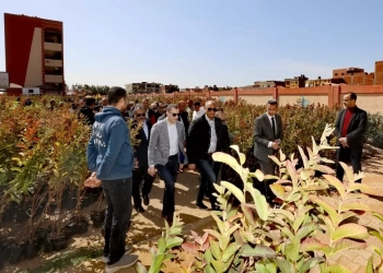 محافظ كفرالشيخ يدشن حملة لزراعة 50 ألف شجرة مثمرة بقرى مركز الرياض ضمن المبادرة الرئاسية «100 مليون شجرة 35 - جريدة المساء