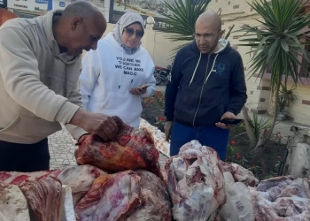ضبط 250 كيلو لحوم منتهية الصلاحية و "سيارة بوتاجاز" مخالفة.. بقويسنا 18 - جريدة المساء