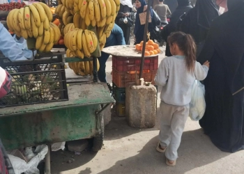 عرابى إسنا ٠ ٠ سوق عشوائى كبير! ! 34 - جريدة المساء عرابى إسنا ٠ ٠ سوق عشوائى كبير! ! 33 - جريدة المساء