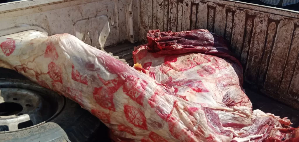 ضبط ربع طن لحوم فاسدة ممهورة بأختام مزورة.. بالشهداء 34 - جريدة المساء ضبط ربع طن لحوم فاسدة ممهورة بأختام مزورة.. بالشهداء 33 - جريدة المساء