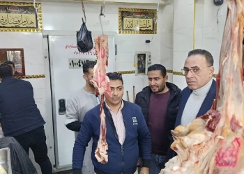 ضبط ربع طن لحوم فاسدة ممهورة بأختام مزورة.. بالشهداء 18 - جريدة المساء