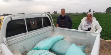 ضبط 420 كجم أسماك مملحة فاسدة..بالمنوفية 1 - جريدة المساء