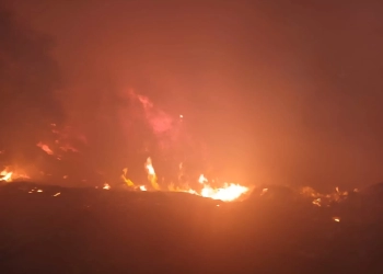 محافظ اسوان يتابع جهود السيطرة على حريق ببعض حشائش الهيش والحلف وأحد المنازل بمنطقة نجع المحطة دون إصابات 27 - جريدة المساء