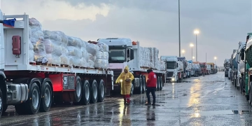 الهلال الأحمر يدفع بأكثر من ألفي خيمة ومستلزمات إغاثية وإنسانية إلى غزة  1 - جريدة المساء