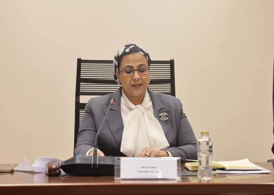 أمل عمار خلال مناقشة ظاهرة زواج الأطفال بالنواب: انتهاك صارخ لحقوق الطفلة 19 - جريدة المساء