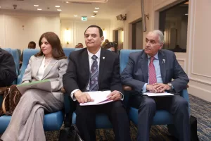 أمل عمار خلال مناقشة ظاهرة زواج الأطفال بالنواب: انتهاك صارخ لحقوق الطفلة 27 - جريدة المساء