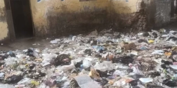 القمامة تحاصر الجمعية الزراعية بـ «كوم اشفين» 1 - جريدة المساء