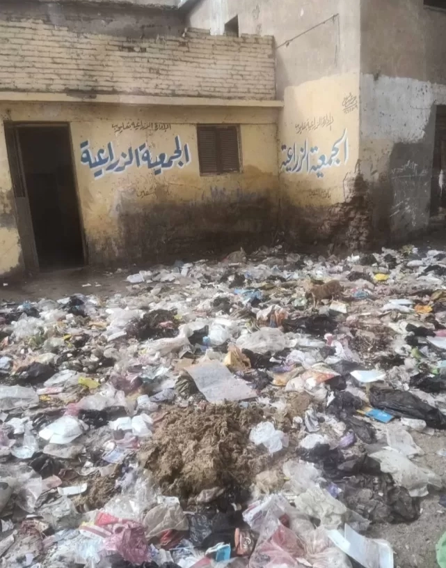 القمامة تحاصر الجمعية الزراعية بـ «كوم اشفين» 19 - جريدة المساء