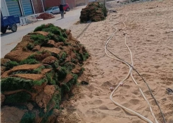 تحويل منطقة تجمع عشوائي للقمامة إلى مسطح أخضر بالقنطرة شرق 30 - جريدة المساء تحويل منطقة تجمع عشوائي للقمامة إلى مسطح أخضر بالقنطرة شرق 29 - جريدة المساء