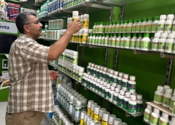 تحرك موسع لإحكام الرقابة على سوق المبيدات ومحاصرة التجارة غير المشروعة.. 23 - جريدة المساء