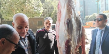 تحرير 28 مخالفة خلال حملة تفتيشية على الأسواق والمجازر بمراكز المنيا 9 - جريدة المساء