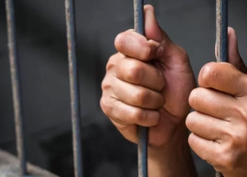 المؤبد لقاتل صديقه بالمنوفية.. بسبب 200 جنيه 41 - جريدة المساء