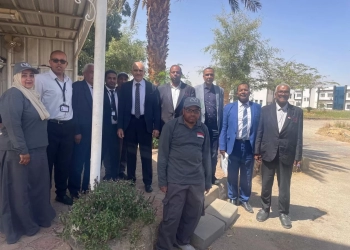 رئيس جامعة أسوان يتفقد الحرم الجامعي لمتابعة الاستعدادات لمواجهة العواصف الترابية 27 - جريدة المساء رئيس جامعة أسوان يتفقد الحرم الجامعي لمتابعة الاستعدادات لمواجهة العواصف الترابية 26 - جريدة المساء