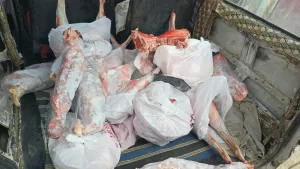 بالصور.. ضبط 185 كيلو لحوم غير صالحة بحملة مكبرة بمدينة المستقبل بالشروق 23 - جريدة المساء