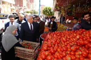 محافظ مطروح يتابع توسعة شبكة المياه بعلم الروم 22 - جريدة المساء محافظ مطروح يتابع توسعة شبكة المياه بعلم الروم 21 - جريدة المساء