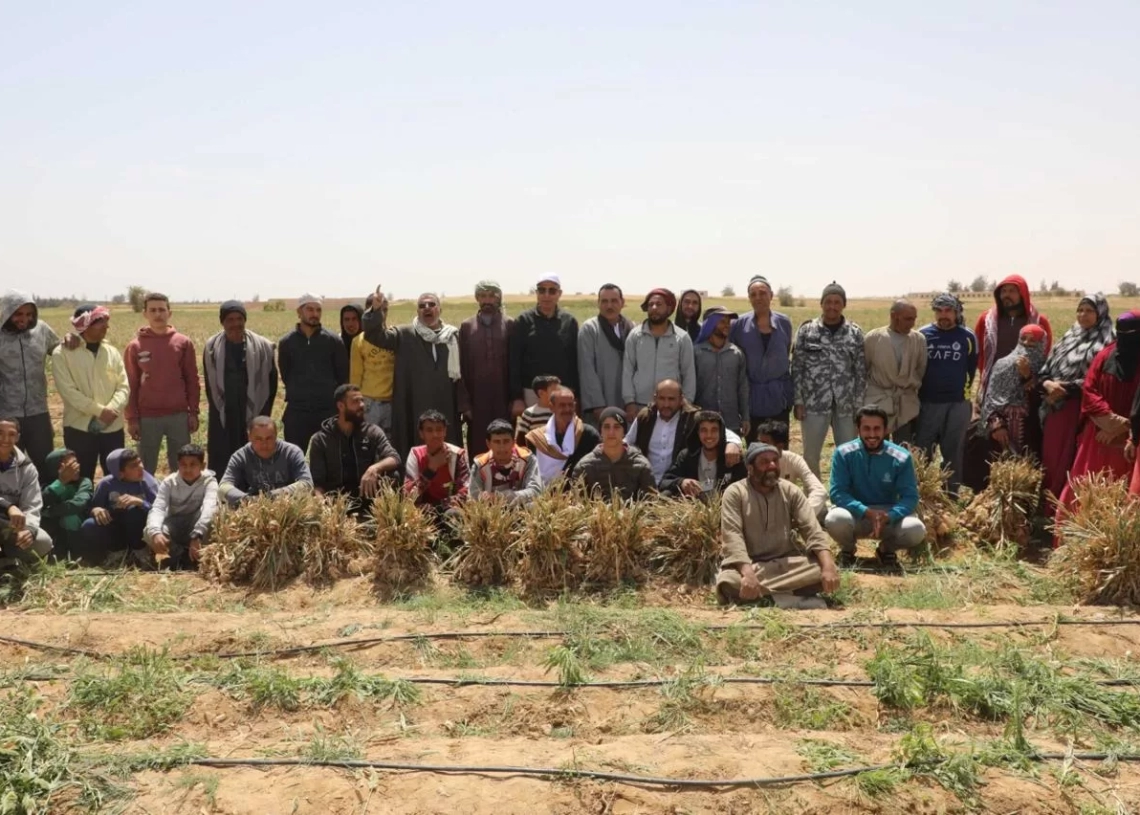 محافظ المنيا يشهد حصاد مساحة 18 ألف فدان «الثوم» ببلنصورة في أبوقرقاص 14 - جريدة المساء محافظ المنيا يشهد حصاد مساحة 18 ألف فدان «الثوم» ببلنصورة في أبوقرقاص 13 - جريدة المساء