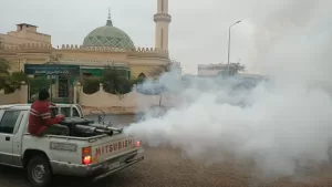 حملات مكافحة الحشرات بالشروق.. رش ضبابي يغطي الأحياء والطرق 25 - جريدة المساء