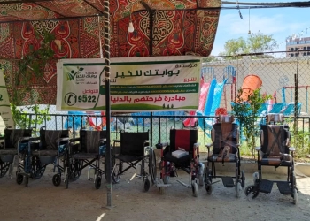 ذوى الإعاقة