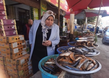 ضبط مصنع مخالف لإنتاج الحلويات بقويسنا 19 - جريدة المساء
