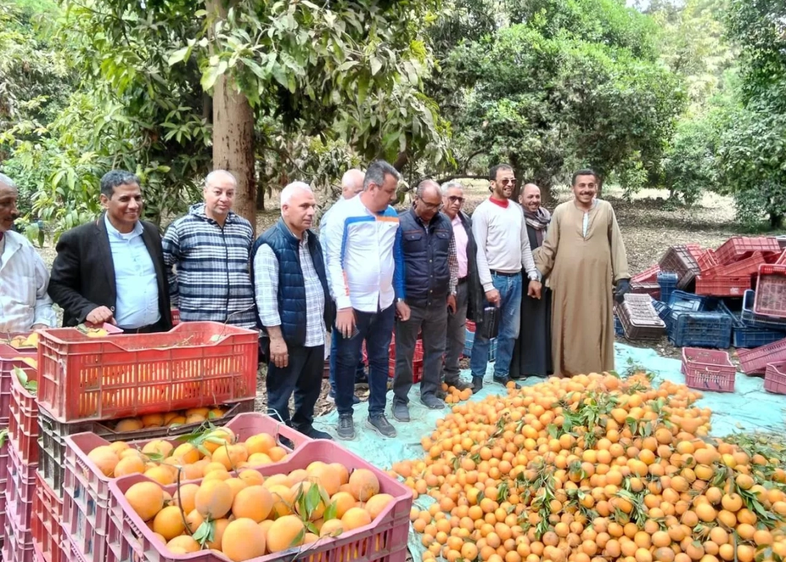 جولة تفقدية لـ"البحوث الزراعية" بمحطتي شندويل وكوم أمبو 18 - جريدة المساء