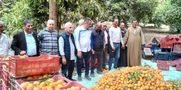 جولة تفقدية لـ"البحوث الزراعية" بمحطتي شندويل وكوم أمبو 1 - جريدة المساء