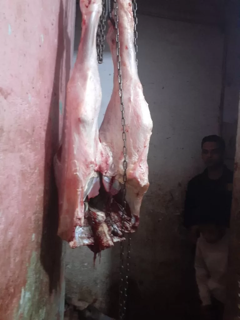 ضبط 3 رؤوس ماشية نافقة مذبوحة داخل منزل بأشمون 20 - جريدة المساء