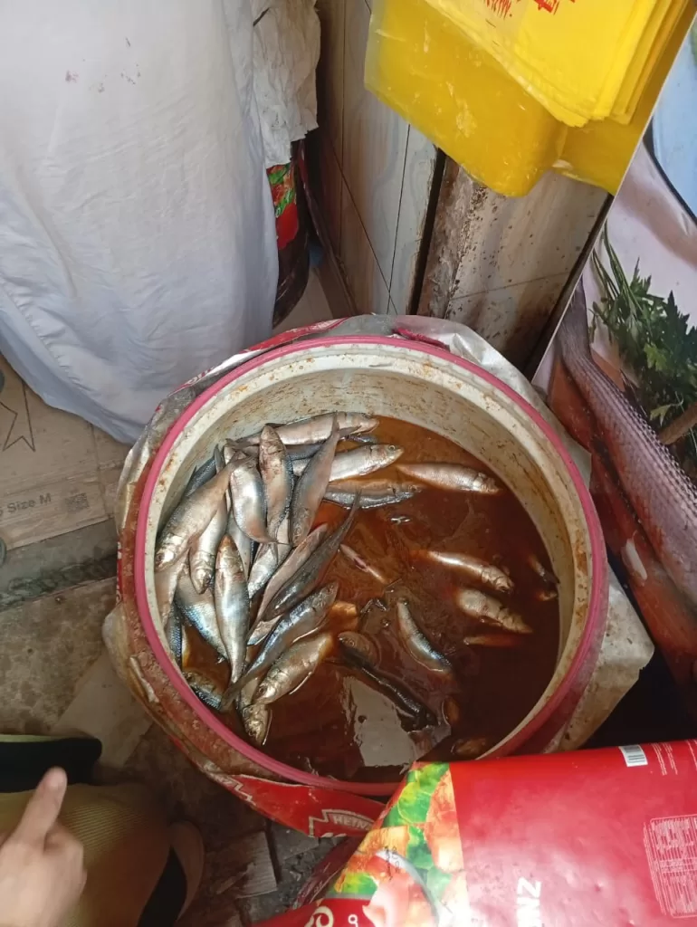 ضبط طن دقيق مدعم قبل بيعه بالسوق السوداء..بالمنوفية 19 - جريدة المساء