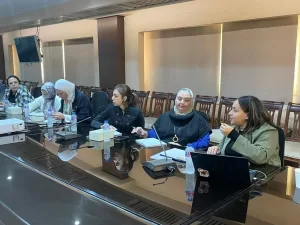 فريق العمل الفنى للجنة الوطنية للقضاء على ختان الإناث يعقد اجتماعه الدوري لمتابعة تنفيذ خطة عملها 23 - جريدة المساء