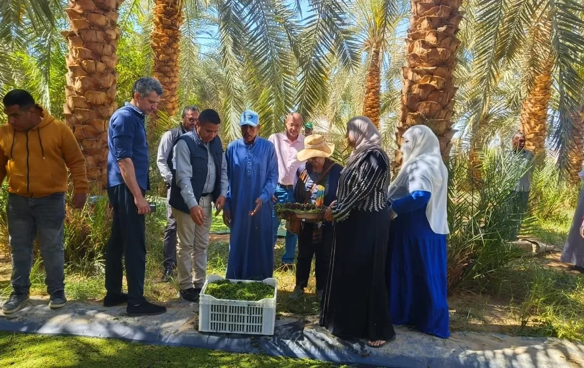 "بحوث الصحراء" يستقبل وفد إيكاردا بمحطتي توشكى والوادي الجديد 20 - جريدة المساء "بحوث الصحراء" يستقبل وفد إيكاردا بمحطتي توشكى والوادي الجديد 19 - جريدة المساء