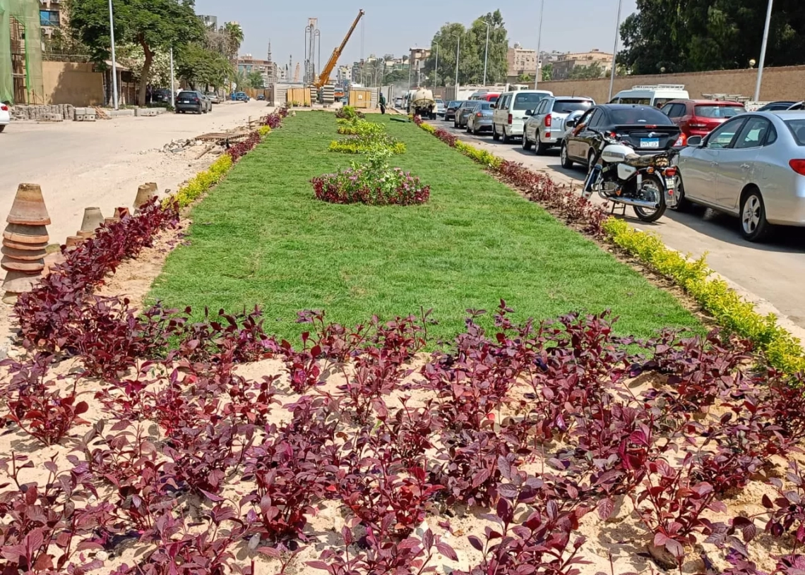 الخضرة تكسو الشوارع.. رفع 1450 طن مخلفات بالمنصورية والمنيرة والعمرانية والدقي بمناسبة شم النسيم 19 - جريدة المساء