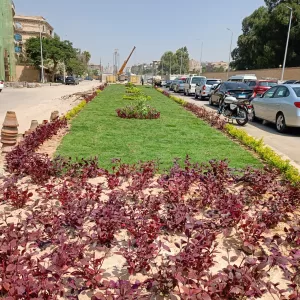 الخضرة تكسو الشوارع.. رفع 1450 طن مخلفات بالمنصورية والمنيرة والعمرانية والدقي بمناسبة شم النسيم 35 - جريدة المساء