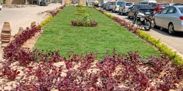 الخضرة تكسو الشوارع.. رفع 1450 طن مخلفات بالمنصورية والمنيرة والعمرانية والدقي بمناسبة شم النسيم 1 - جريدة المساء