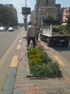الخضرة تكسو الشوارع.. رفع 1450 طن مخلفات بالمنصورية والمنيرة والعمرانية والدقي بمناسبة شم النسيم 31 - جريدة المساء