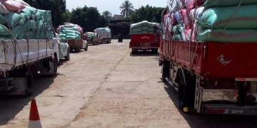 بداية قوية لموسم الخير فى سوهاج واستقبال 298 طن قمح لليوم الأول 2 - جريدة المساء بداية قوية لموسم الخير فى سوهاج واستقبال 298 طن قمح لليوم الأول 1 - جريدة المساء
