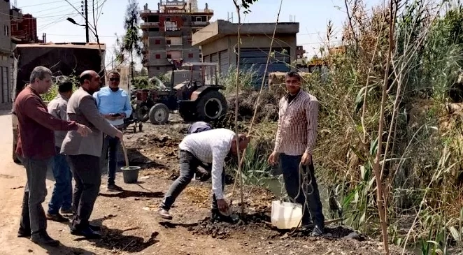 ضمن مبادرة "100 مليون شجرة".. مكي يتابع زراعة الأشجار بدسوق 19 - جريدة المساء