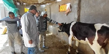 "بحوث الصحراء" يطلق قافلة بيطرية بجنوب سيناء لتحسين صحة الثروة الحيوانية 1 - جريدة المساء