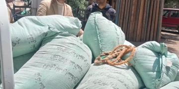ضبط 2 طن دقيق بلدى مدعم قبل بيعه بالسوق السوداء بالمنوفية 1 - جريدة المساء