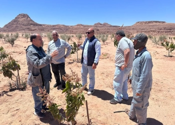 بحوث الصحراء : يتفقد التجمعات الزراعية بكاترين لتقديم الدعم الفني للمتضررين 29 - جريدة المساء